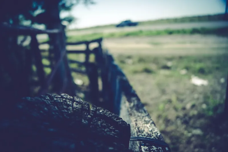Dirt Roads and Balance Sheets: The Roadside Seller Who Learned Business the Hard Way