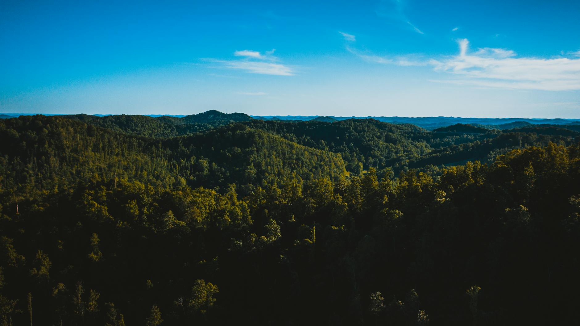 Before NASA, There Was White Sulphur Springs: How Katherine Johnson's Childhood Built a Mind That Aimed for the Stars
