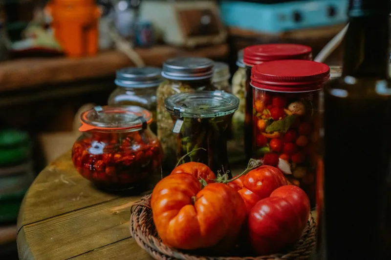 The Seed Whisperers: How Forgotten Women Saved America's Food Future One Garden at a Time